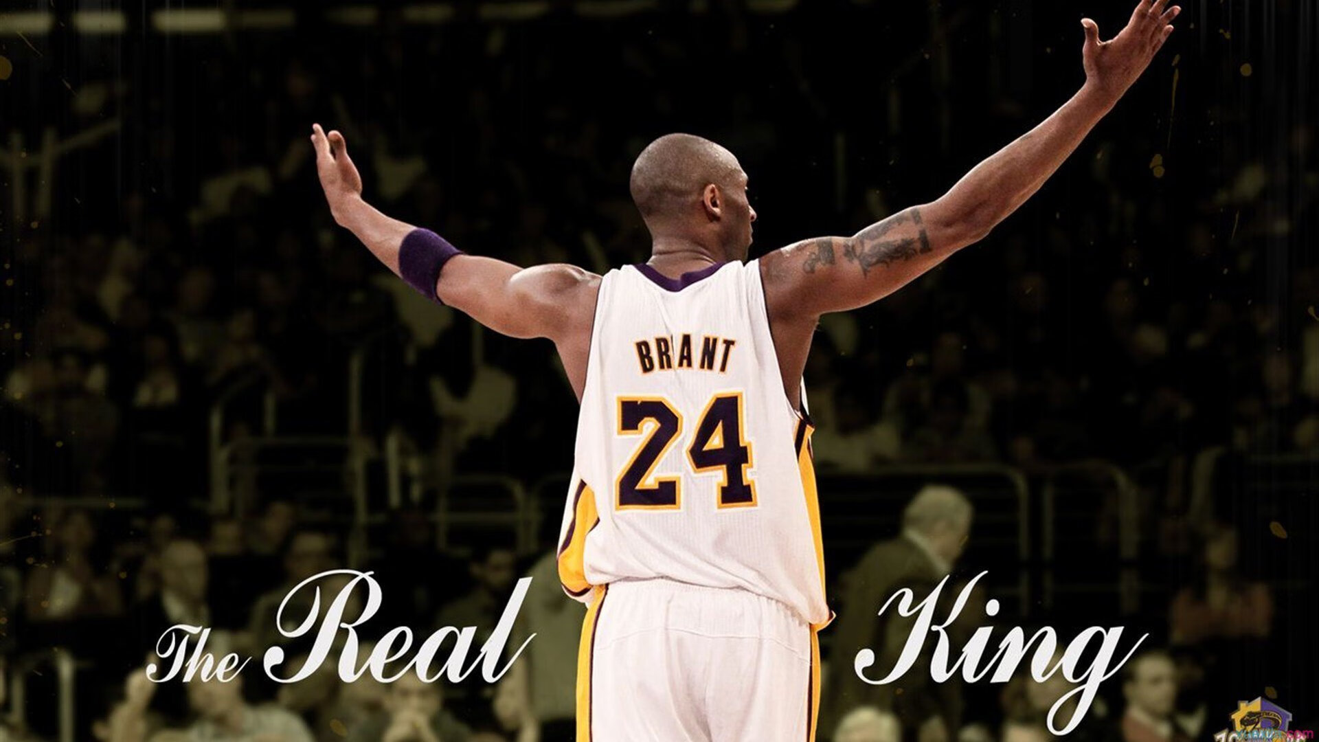 世界大学生运动会圆满落幕，多国青年展现体育激情